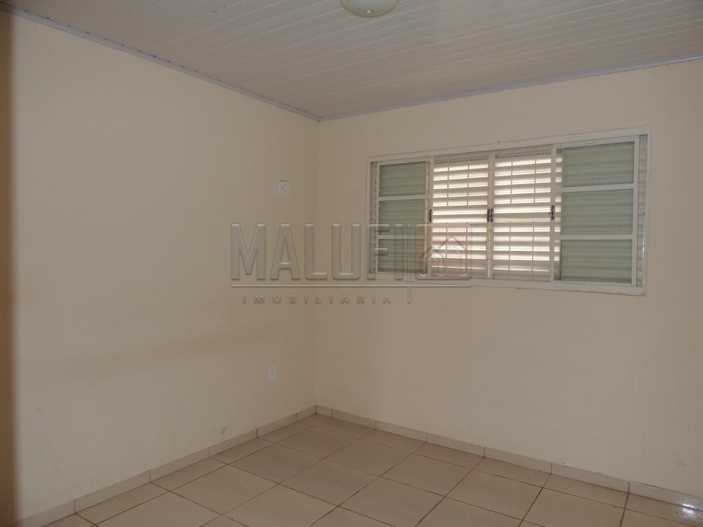 Alugar Casas / Padrão em Olímpia apenas R$ 1.200,00 - Foto 5 Alugar Casas / Padrão em Olímpia apenas R$ 1.200,00 - Foto 5