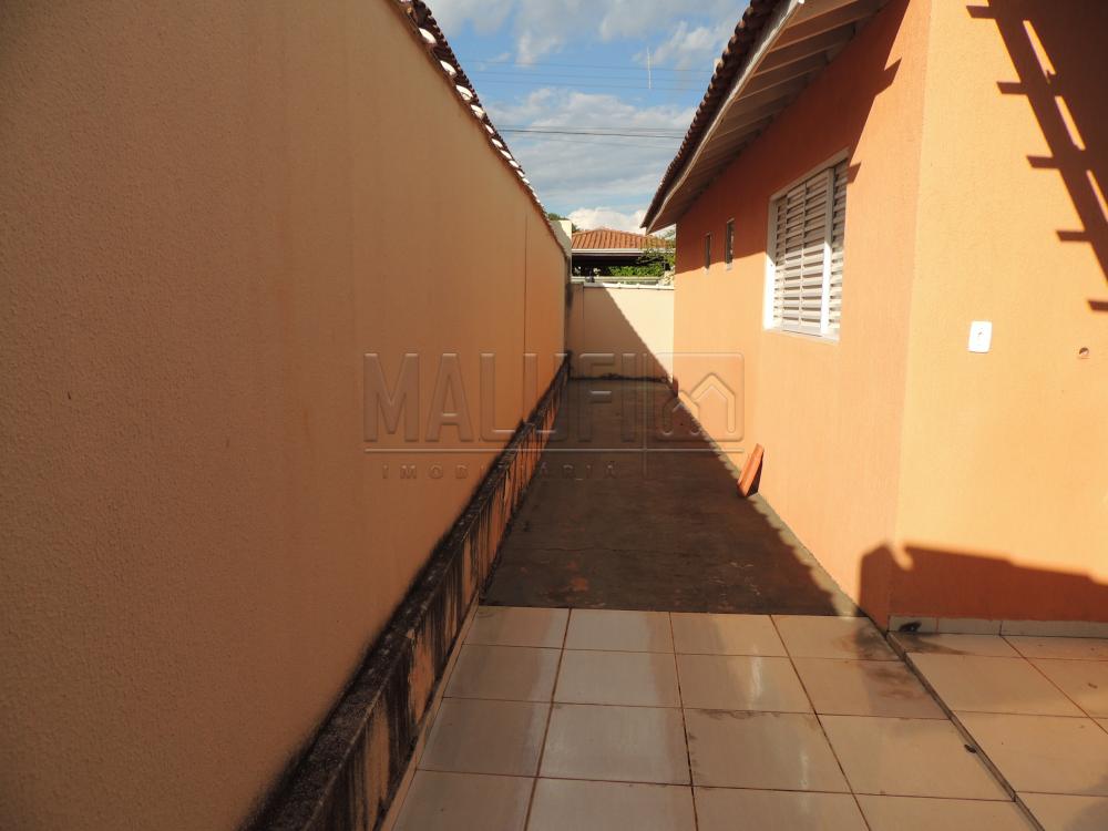 Alugar Casas / Padrão em Olímpia apenas R$ 1.200,00 - Foto 9 Alugar Casas / Padrão em Olímpia apenas R$ 1.200,00 - Foto 9
