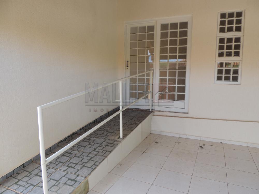 Alugar Casas / Padrão em Olímpia apenas R$ 1.200,00 - Foto 12 Alugar Casas / Padrão em Olímpia apenas R$ 1.200,00 - Foto 12