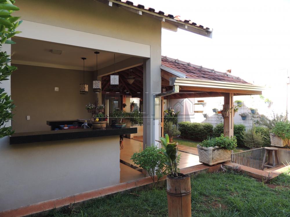Comprar Casas / Padrão em Olímpia apenas R$ 430.000,00 - Foto 11 Comprar Casas / Padrão em Olímpia apenas R$ 430.000,00 - Foto 11