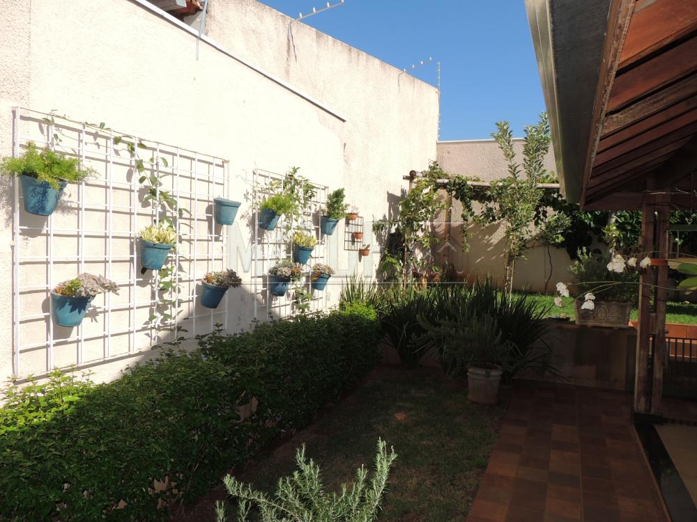 Comprar Casas / Padrão em Olímpia apenas R$ 430.000,00 - Foto 12 Comprar Casas / Padrão em Olímpia apenas R$ 430.000,00 - Foto 12