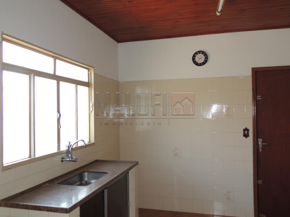 Alugar Casas / Padrão em Olímpia apenas R$ 1.300,00 - Foto 6 Alugar Casas / Padrão em Olímpia apenas R$ 1.300,00 - Foto 6