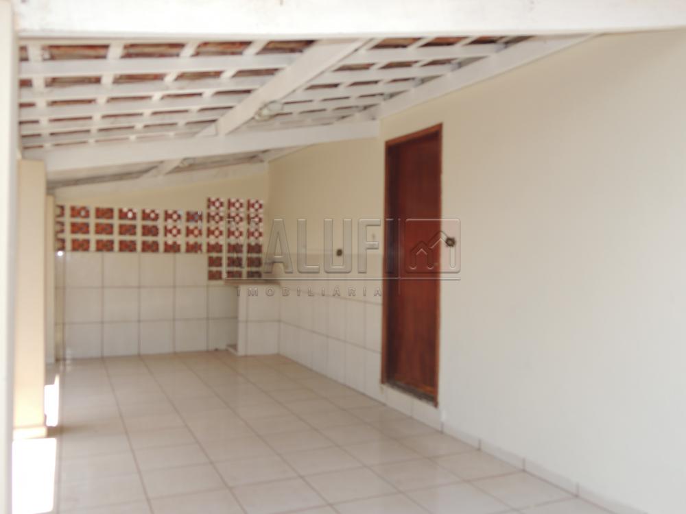 Alugar Casas / Padrão em Olímpia apenas R$ 1.300,00 - Foto 10 Alugar Casas / Padrão em Olímpia apenas R$ 1.300,00 - Foto 10