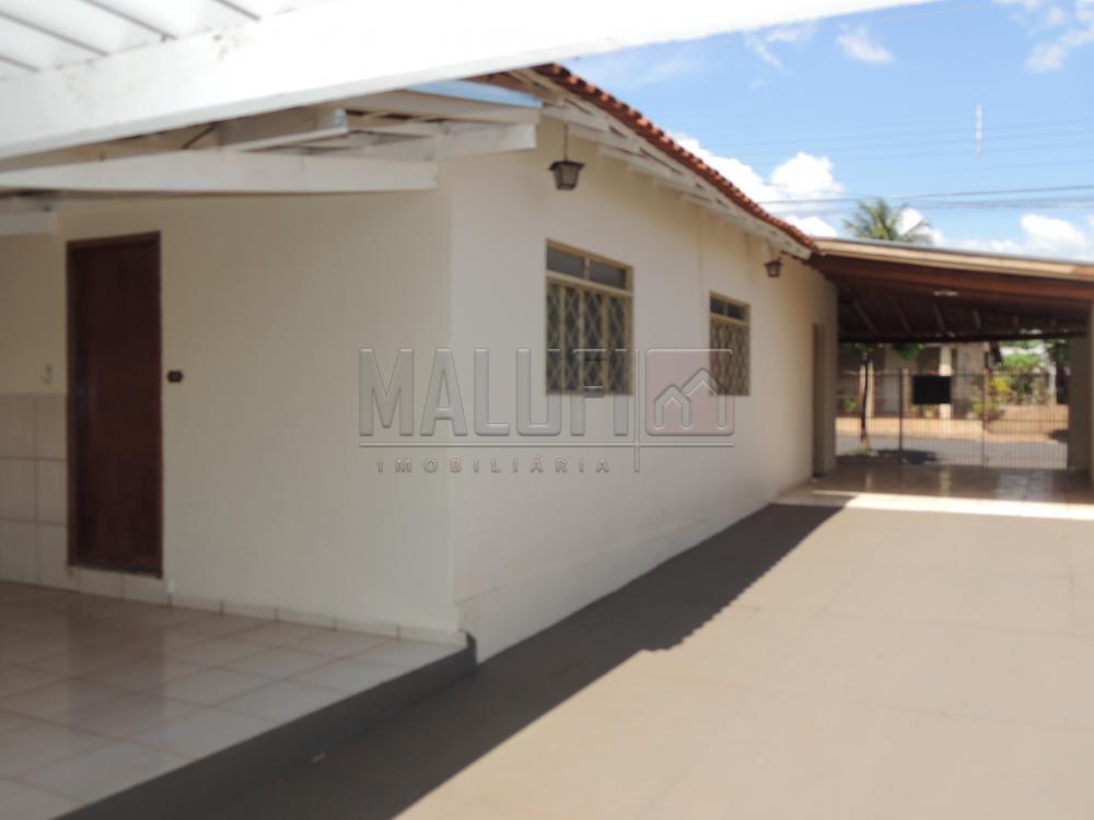 Alugar Casas / Padrão em Olímpia apenas R$ 1.300,00 - Foto 11 Alugar Casas / Padrão em Olímpia apenas R$ 1.300,00 - Foto 11