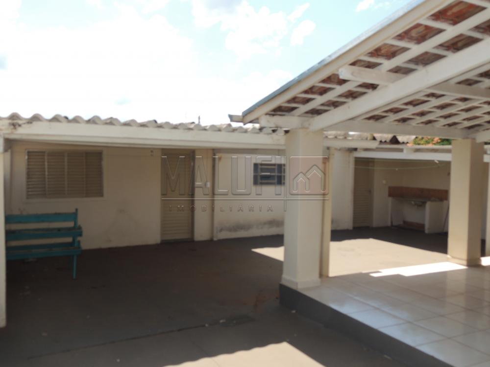 Alugar Casas / Padrão em Olímpia apenas R$ 1.300,00 - Foto 13 Alugar Casas / Padrão em Olímpia apenas R$ 1.300,00 - Foto 13