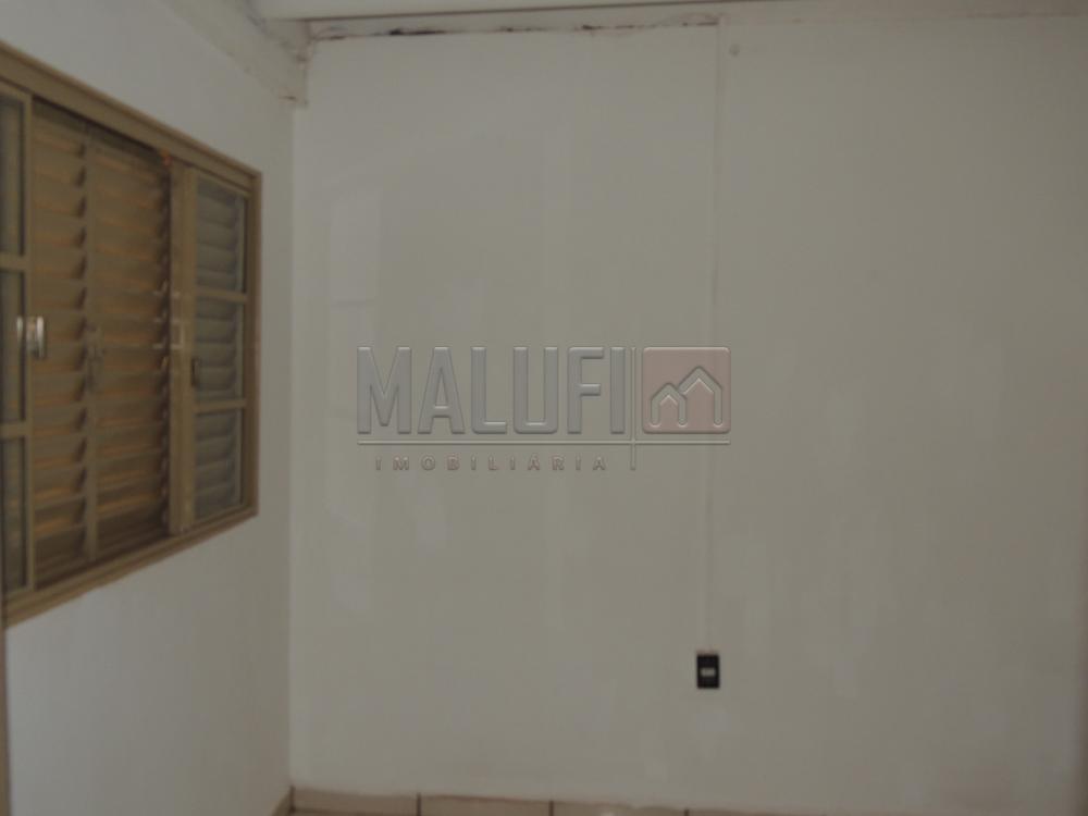 Alugar Casas / Padrão em Olímpia apenas R$ 1.300,00 - Foto 14 Alugar Casas / Padrão em Olímpia apenas R$ 1.300,00 - Foto 14