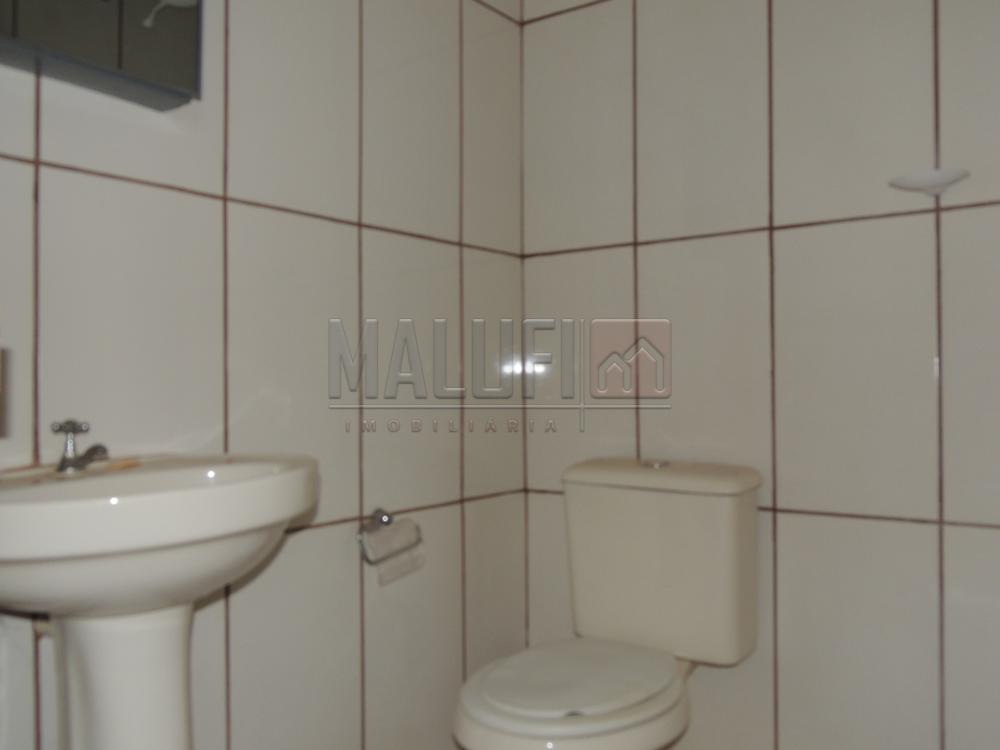 Alugar Casas / Padrão em Olímpia apenas R$ 1.300,00 - Foto 15 Alugar Casas / Padrão em Olímpia apenas R$ 1.300,00 - Foto 15