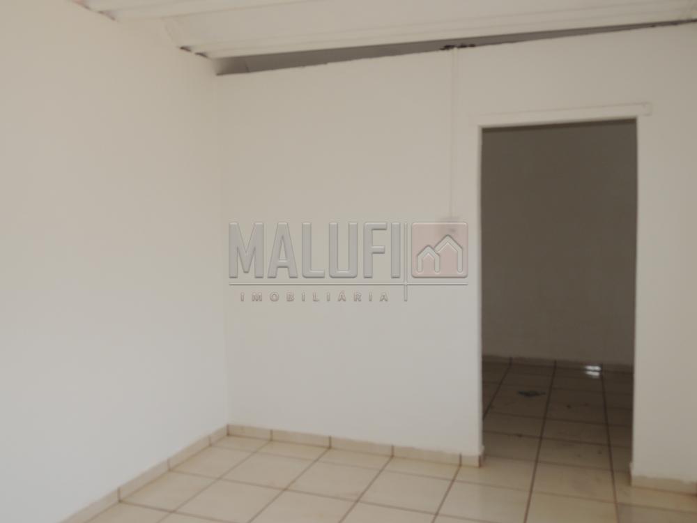 Alugar Casas / Padrão em Olímpia apenas R$ 1.300,00 - Foto 16 Alugar Casas / Padrão em Olímpia apenas R$ 1.300,00 - Foto 16