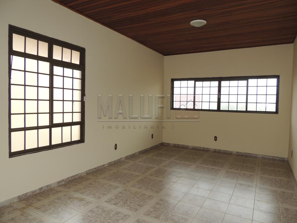 Alugar Casas / Padrão em Olímpia apenas R$ 1.670,00 - Foto 1 Alugar Casas / Padrão em Olímpia apenas R$ 1.670,00 - Foto 1