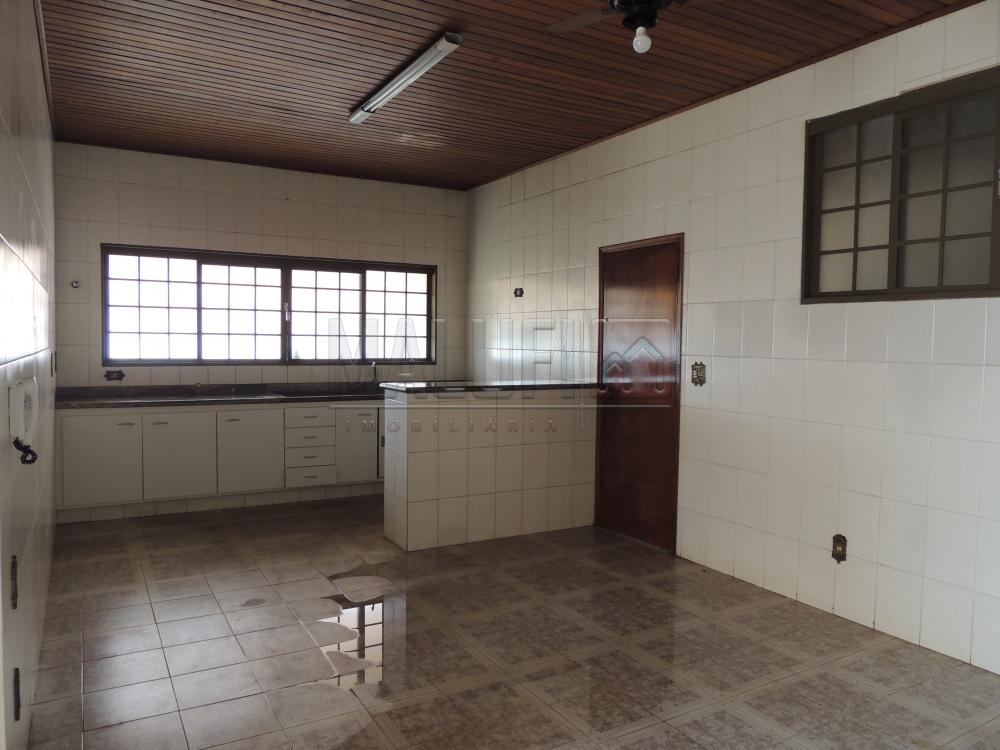 Alugar Casas / Padrão em Olímpia apenas R$ 1.670,00 - Foto 3 Alugar Casas / Padrão em Olímpia apenas R$ 1.670,00 - Foto 3