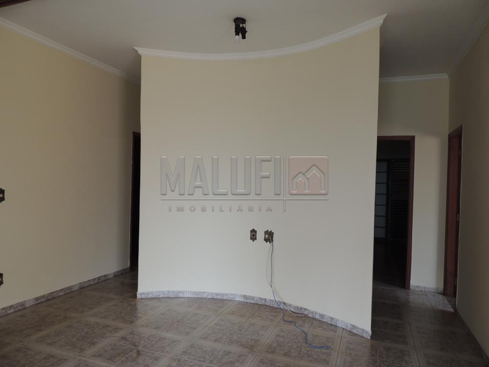 Alugar Casas / Padrão em Olímpia apenas R$ 1.670,00 - Foto 4 Alugar Casas / Padrão em Olímpia apenas R$ 1.670,00 - Foto 4