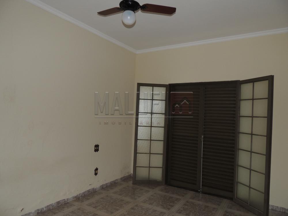 Alugar Casas / Padrão em Olímpia apenas R$ 1.670,00 - Foto 5 Alugar Casas / Padrão em Olímpia apenas R$ 1.670,00 - Foto 5