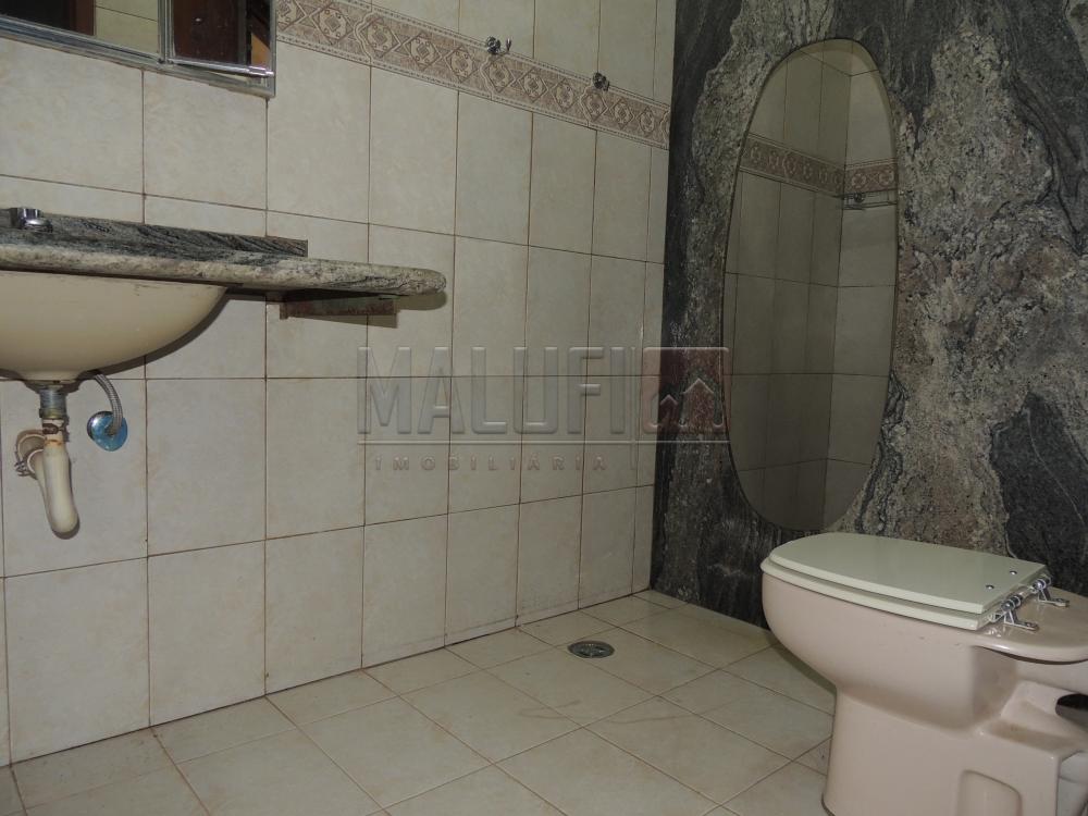 Alugar Casas / Padrão em Olímpia apenas R$ 1.670,00 - Foto 6 Alugar Casas / Padrão em Olímpia apenas R$ 1.670,00 - Foto 6