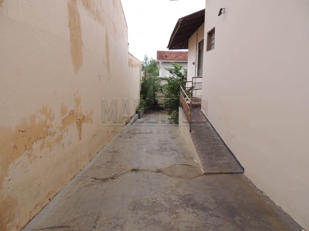Alugar Casas / Padrão em Olímpia apenas R$ 1.670,00 - Foto 10 Alugar Casas / Padrão em Olímpia apenas R$ 1.670,00 - Foto 10