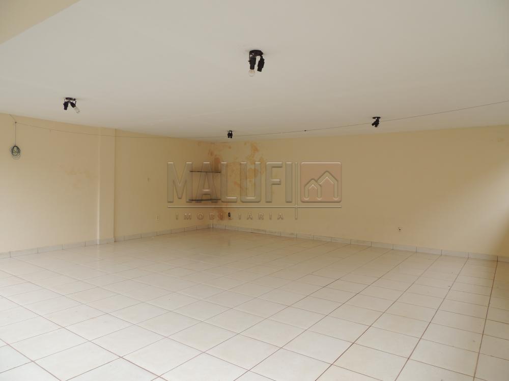 Alugar Casas / Padrão em Olímpia apenas R$ 1.670,00 - Foto 11 Alugar Casas / Padrão em Olímpia apenas R$ 1.670,00 - Foto 11