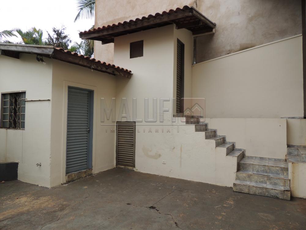 Alugar Casas / Padrão em Olímpia apenas R$ 1.670,00 - Foto 12 Alugar Casas / Padrão em Olímpia apenas R$ 1.670,00 - Foto 12