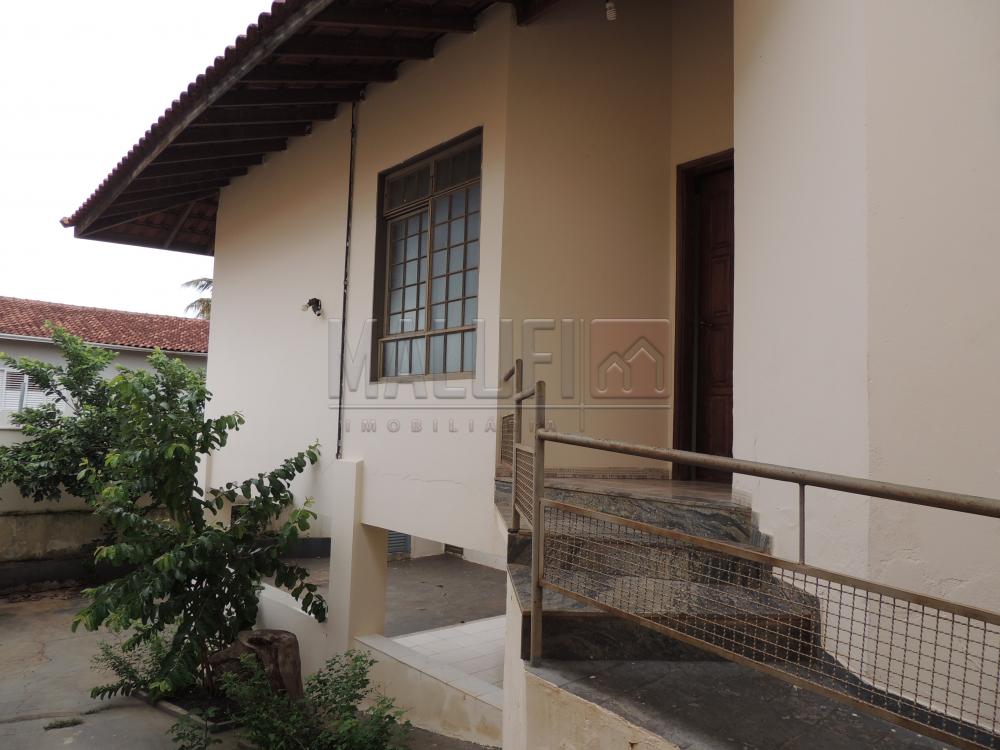 Alugar Casas / Padrão em Olímpia apenas R$ 1.670,00 - Foto 18 Alugar Casas / Padrão em Olímpia apenas R$ 1.670,00 - Foto 18