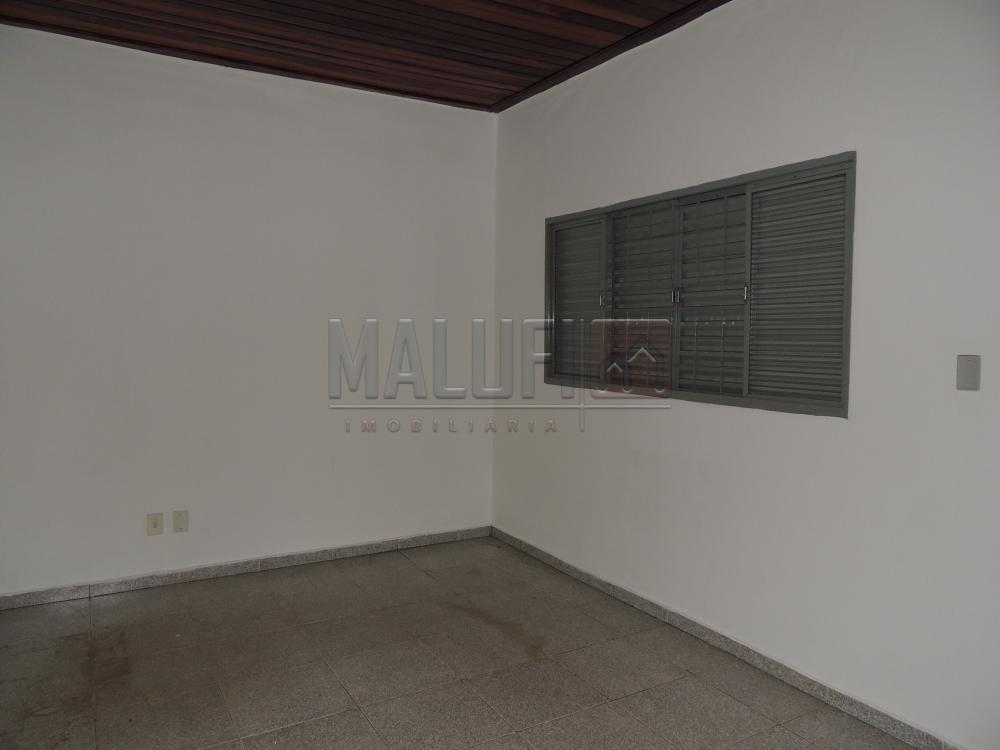 Alugar Casas / Padrão em Olímpia apenas R$ 800,00 - Foto 7 Alugar Casas / Padrão em Olímpia apenas R$ 800,00 - Foto 7