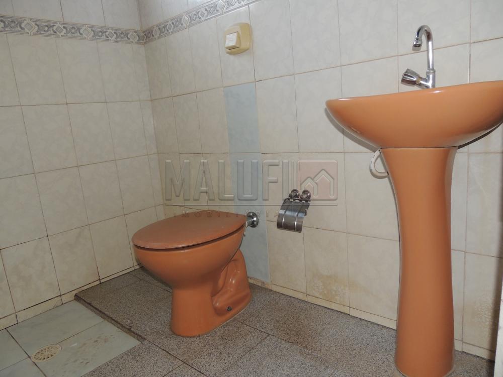 Alugar Casas / Padrão em Olímpia apenas R$ 800,00 - Foto 5 Alugar Casas / Padrão em Olímpia apenas R$ 800,00 - Foto 5