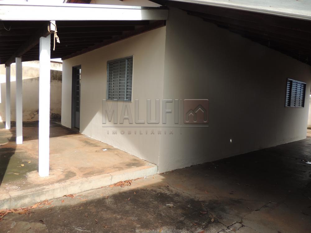 Alugar Casas / Padrão em Olímpia apenas R$ 800,00 - Foto 2 Alugar Casas / Padrão em Olímpia apenas R$ 800,00 - Foto 2