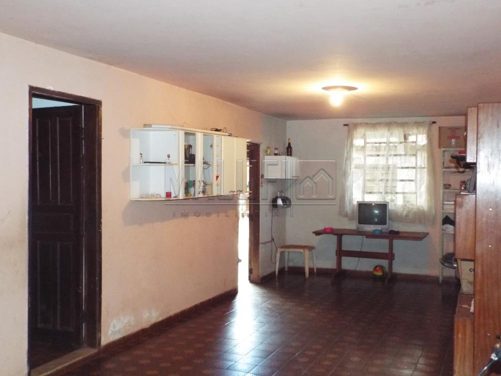 Comprar Casas / Padrão em Olímpia apenas R$ 185.000,00 - Foto 4 Comprar Casas / Padrão em Olímpia apenas R$ 185.000,00 - Foto 4