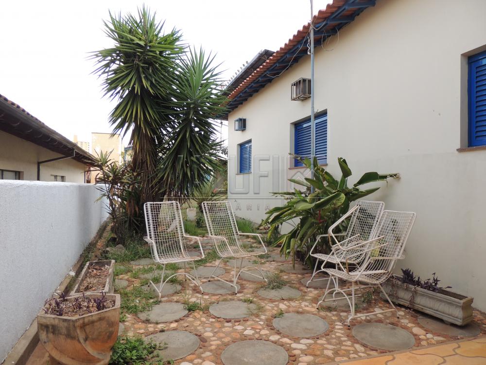 Alugar Casas / Padrão em Olímpia apenas R$ 2.500,00 - Foto 17 Alugar Casas / Padrão em Olímpia apenas R$ 2.500,00 - Foto 17