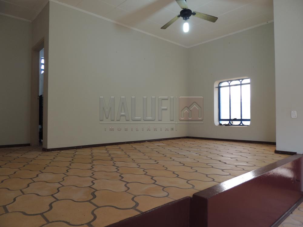 Alugar Casas / Padrão em Olímpia apenas R$ 2.500,00 - Foto 2 Alugar Casas / Padrão em Olímpia apenas R$ 2.500,00 - Foto 2