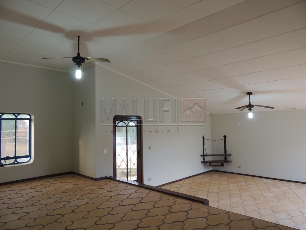 Alugar Casas / Padrão em Olímpia apenas R$ 2.500,00 - Foto 3 Alugar Casas / Padrão em Olímpia apenas R$ 2.500,00 - Foto 3