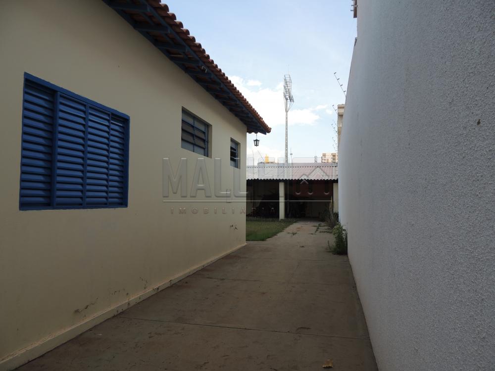 Alugar Casas / Padrão em Olímpia apenas R$ 2.500,00 - Foto 19 Alugar Casas / Padrão em Olímpia apenas R$ 2.500,00 - Foto 19