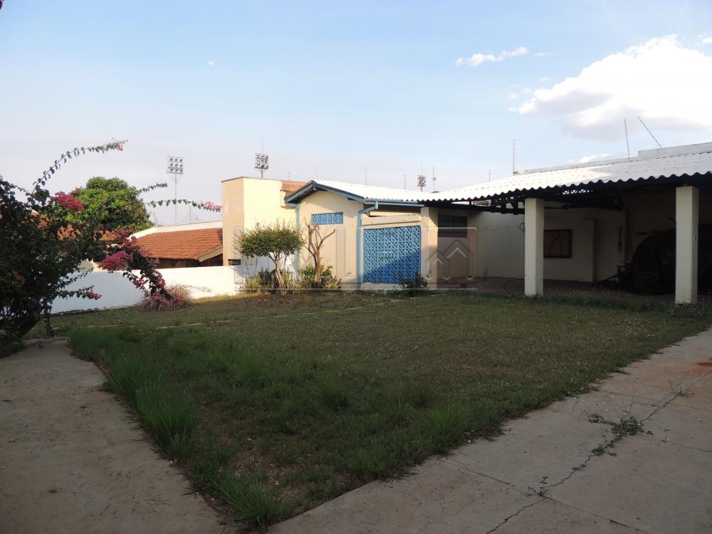 Alugar Casas / Padrão em Olímpia apenas R$ 2.500,00 - Foto 20 Alugar Casas / Padrão em Olímpia apenas R$ 2.500,00 - Foto 20
