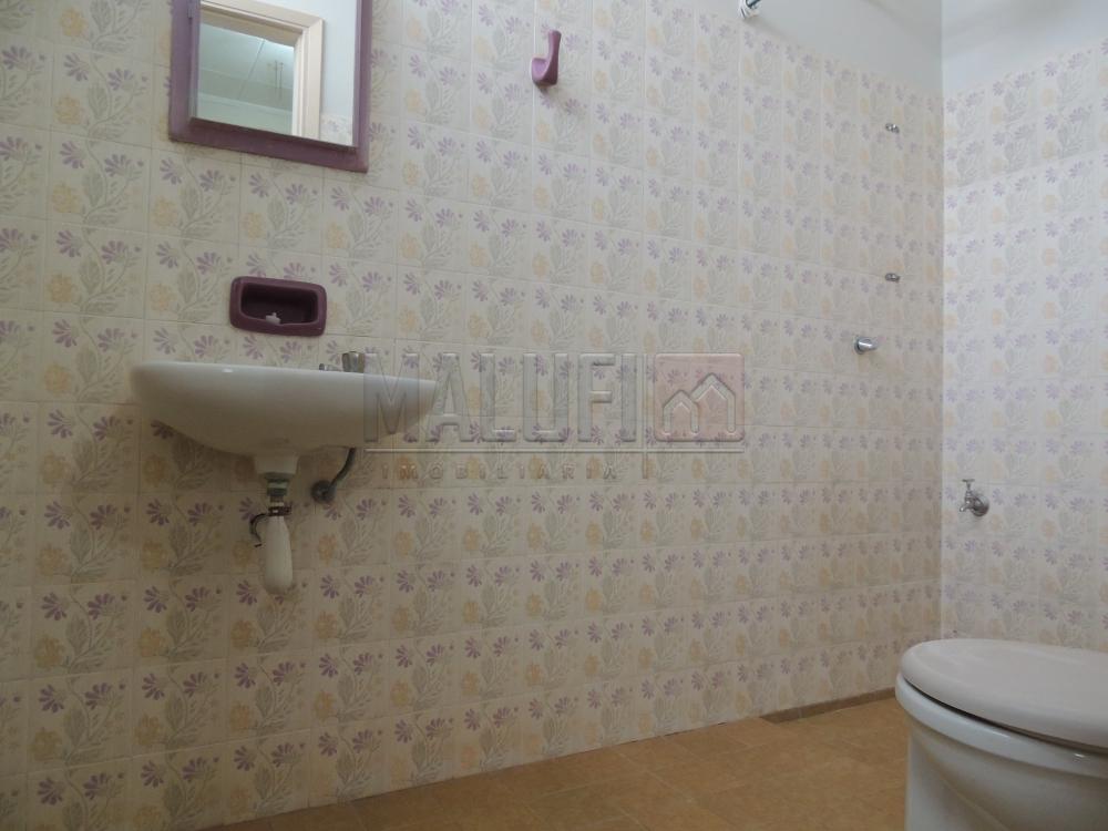 Alugar Casas / Padrão em Olímpia apenas R$ 2.500,00 - Foto 13 Alugar Casas / Padrão em Olímpia apenas R$ 2.500,00 - Foto 13