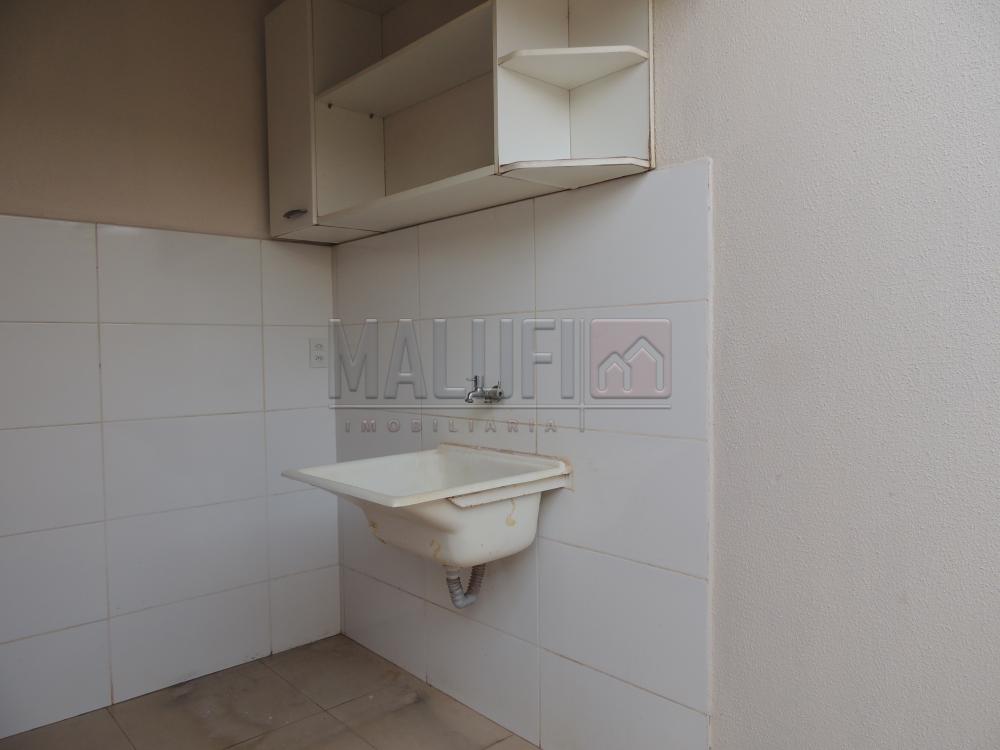Alugar Casas / Padrão em Olímpia apenas R$ 2.500,00 - Foto 13 Alugar Casas / Padrão em Olímpia apenas R$ 2.500,00 - Foto 13