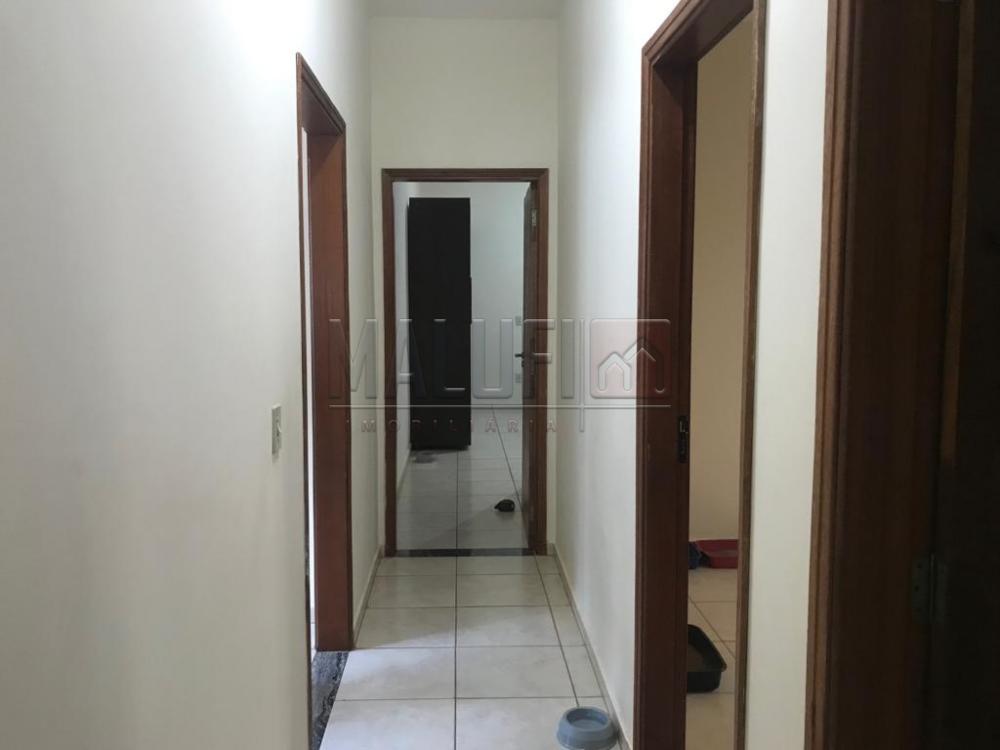 Comprar Casas / Padrão em Olímpia R$ 390.000,00 - Foto 7 Comprar Casas / Padrão em Olímpia R$ 390.000,00 - Foto 7