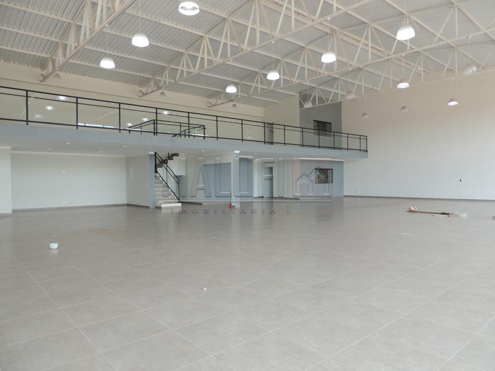Comprar Comerciais / Salão em Olímpia - Foto 5 Comprar Comerciais / Salão em Olímpia - Foto 5