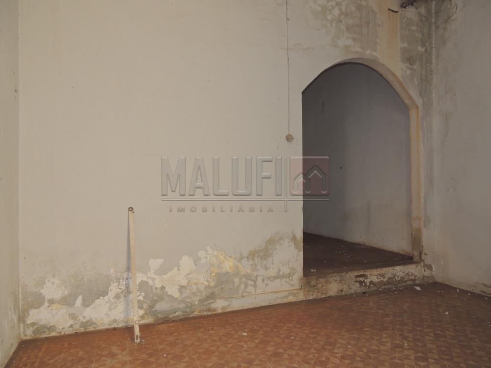 Alugar Casas / Comercial em Olímpia apenas R$ 3.000,00 - Foto 15 Alugar Casas / Comercial em Olímpia apenas R$ 3.000,00 - Foto 15