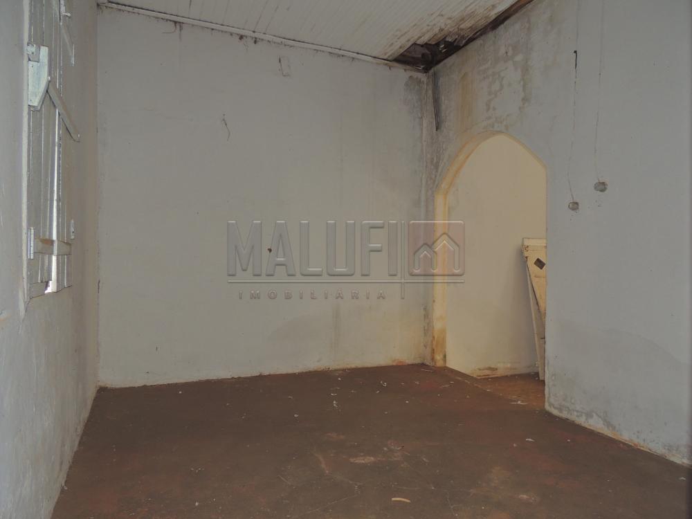 Alugar Casas / Comercial em Olímpia apenas R$ 3.000,00 - Foto 16 Alugar Casas / Comercial em Olímpia apenas R$ 3.000,00 - Foto 16