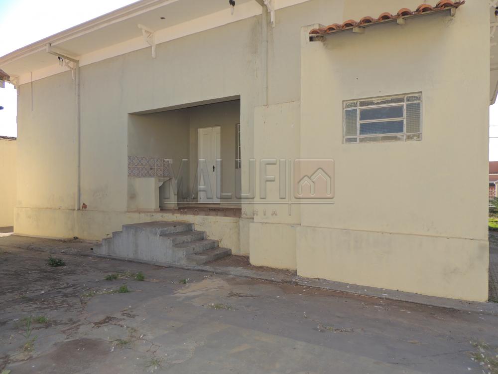 Alugar Casas / Comercial em Olímpia apenas R$ 3.000,00 - Foto 19 Alugar Casas / Comercial em Olímpia apenas R$ 3.000,00 - Foto 19