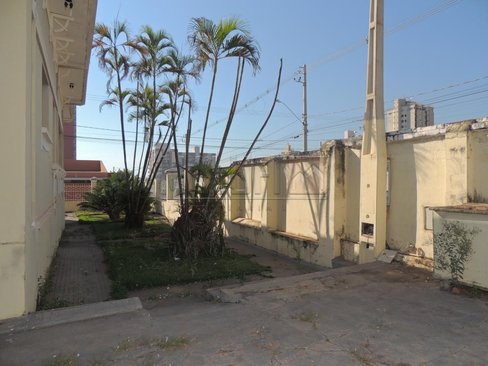 Alugar Casas / Comercial em Olímpia apenas R$ 3.000,00 - Foto 18 Alugar Casas / Comercial em Olímpia apenas R$ 3.000,00 - Foto 18