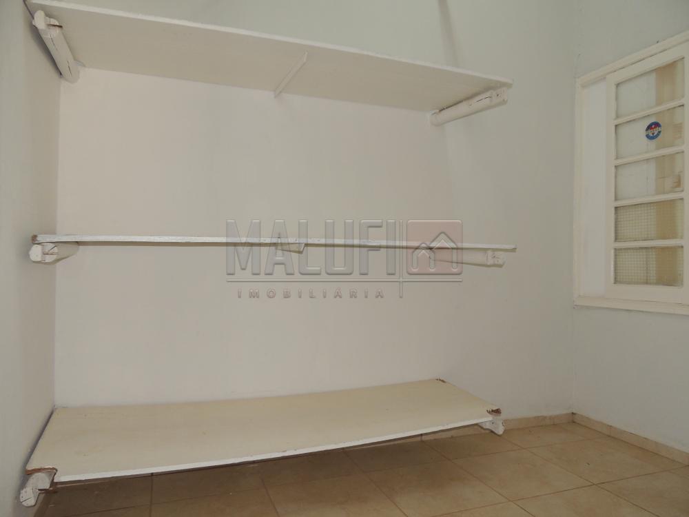 Alugar Casas / Comercial em Olímpia apenas R$ 3.000,00 - Foto 10 Alugar Casas / Comercial em Olímpia apenas R$ 3.000,00 - Foto 10