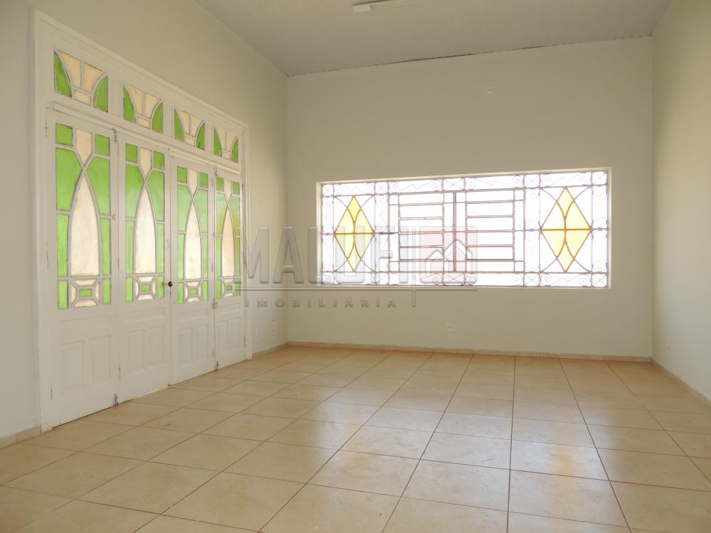 Alugar Casas / Comercial em Olímpia apenas R$ 3.000,00 - Foto 5 Alugar Casas / Comercial em Olímpia apenas R$ 3.000,00 - Foto 5