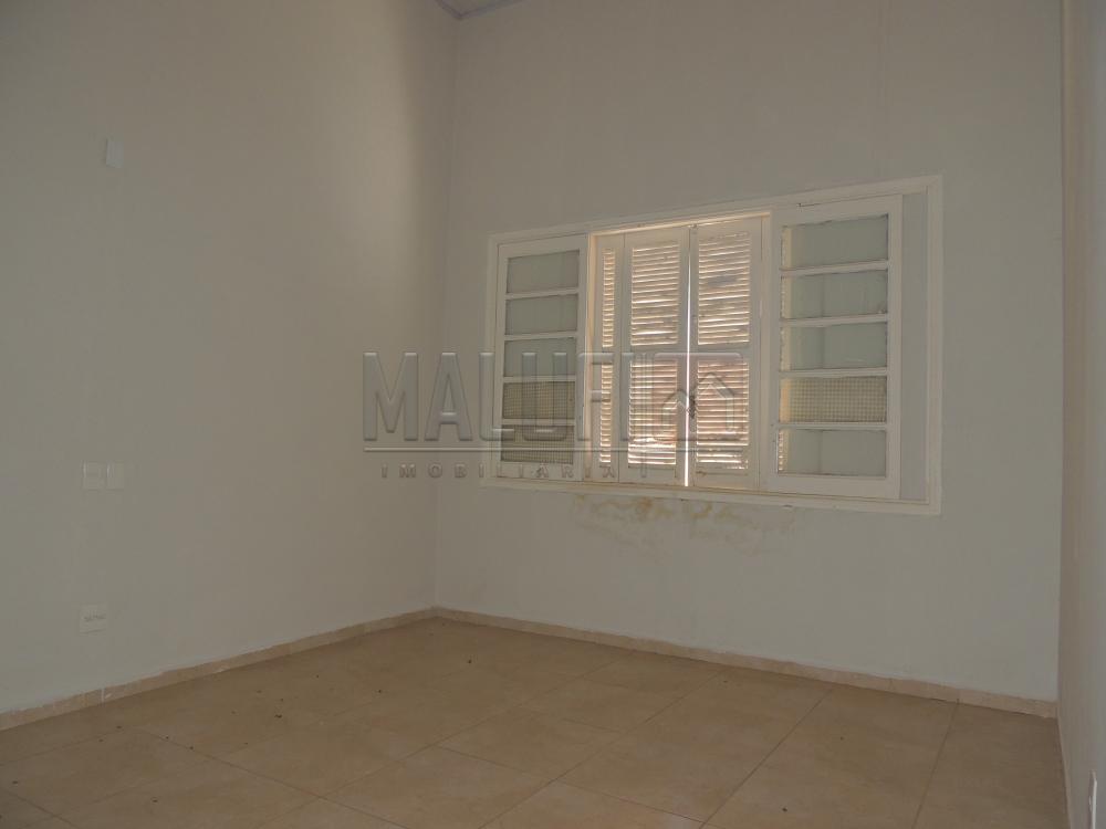 Alugar Casas / Comercial em Olímpia apenas R$ 3.000,00 - Foto 7 Alugar Casas / Comercial em Olímpia apenas R$ 3.000,00 - Foto 7