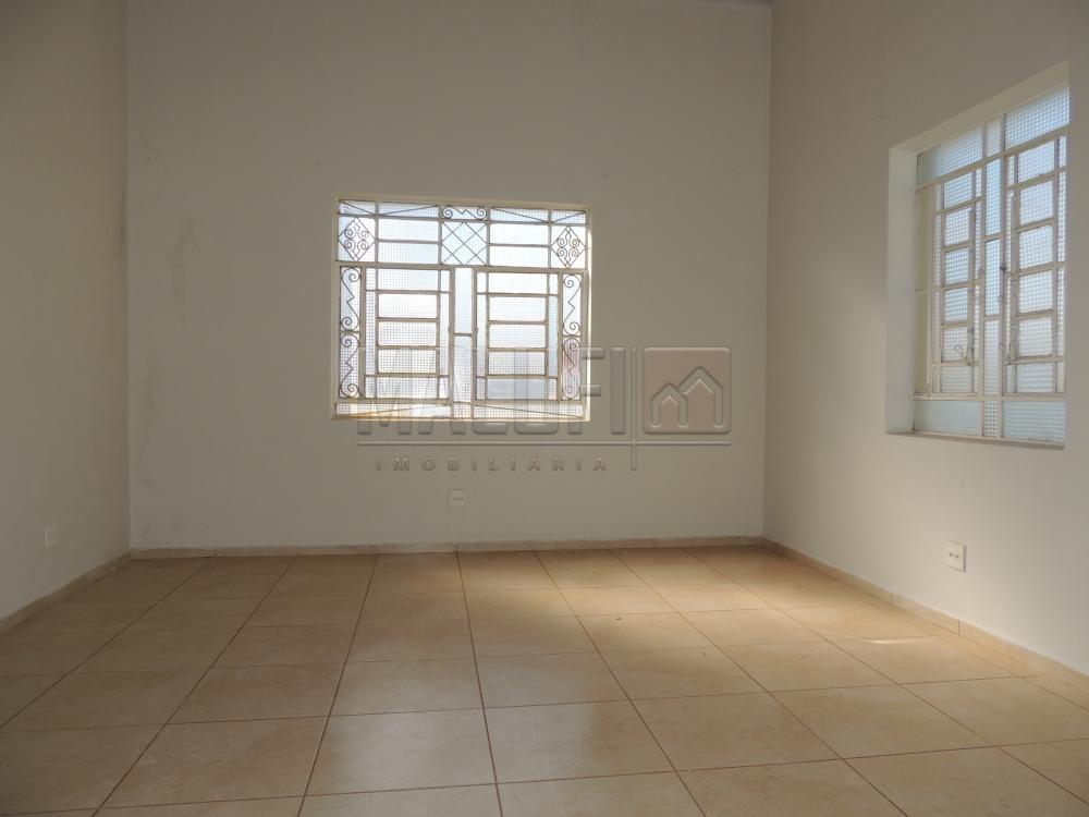 Alugar Casas / Comercial em Olímpia apenas R$ 3.000,00 - Foto 4 Alugar Casas / Comercial em Olímpia apenas R$ 3.000,00 - Foto 4