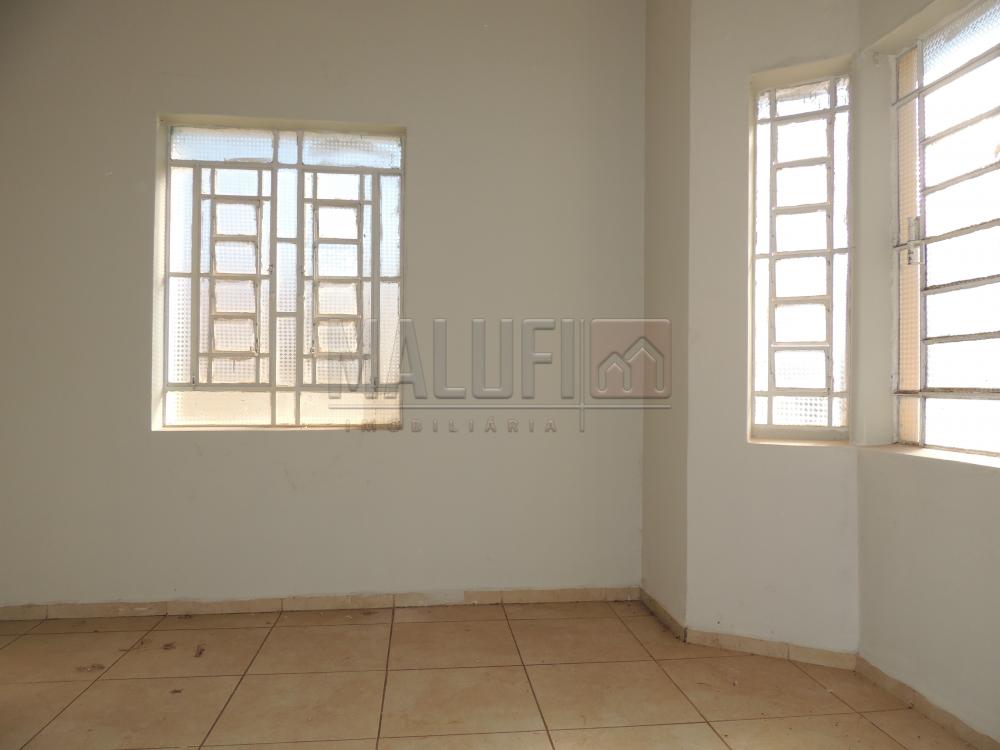 Alugar Casas / Comercial em Olímpia apenas R$ 3.000,00 - Foto 3 Alugar Casas / Comercial em Olímpia apenas R$ 3.000,00 - Foto 3