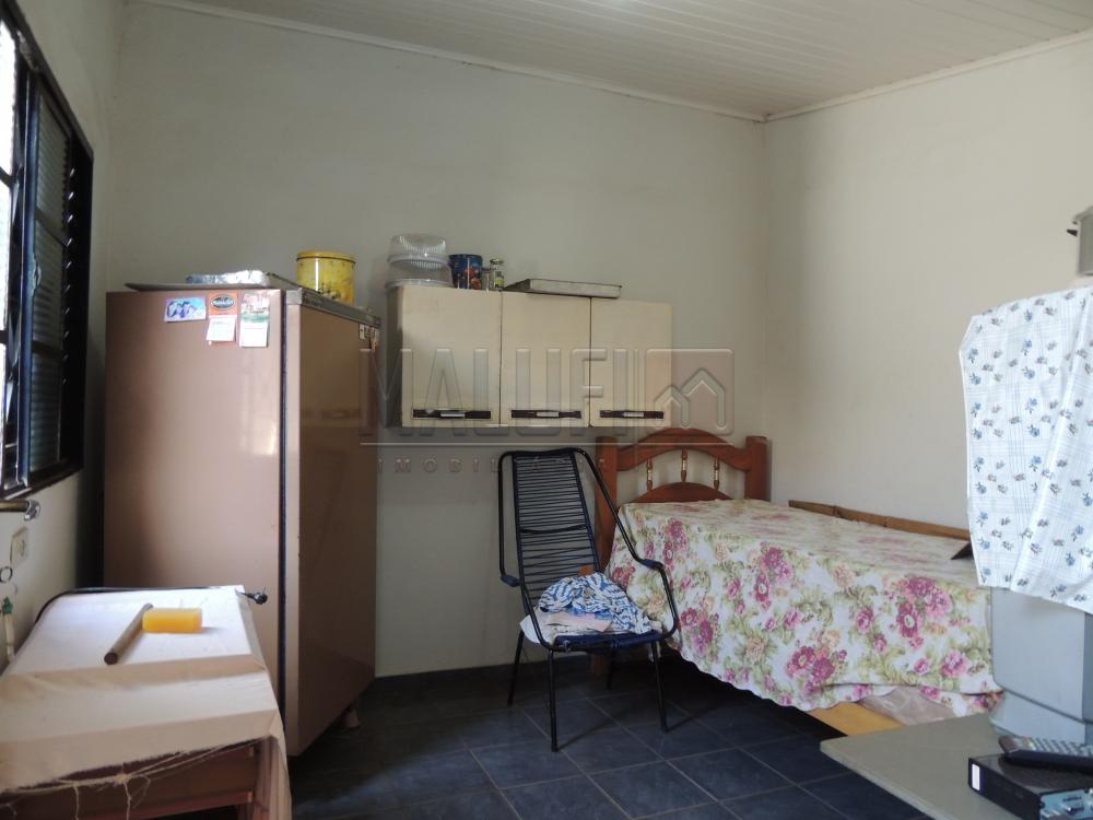 Comprar Casas / Padrão em Olímpia - Foto 14 Comprar Casas / Padrão em Olímpia - Foto 14
