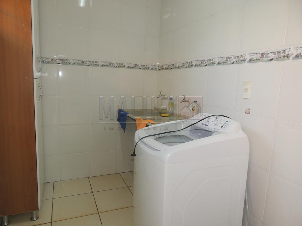 Alugar Casas / Padrão em Olímpia R$ 1.800,00 - Foto 13 Alugar Casas / Padrão em Olímpia R$ 1.800,00 - Foto 13