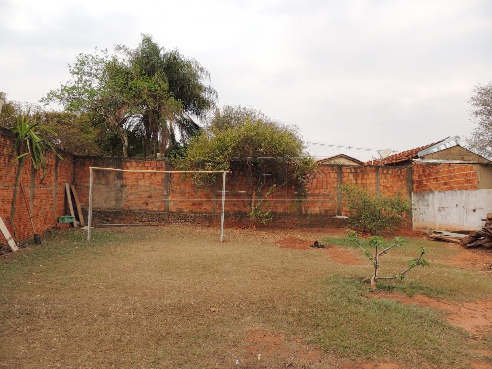 Comprar Casas / Padrão em Olímpia apenas R$ 290.000,00 - Foto 9 Comprar Casas / Padrão em Olímpia apenas R$ 290.000,00 - Foto 9