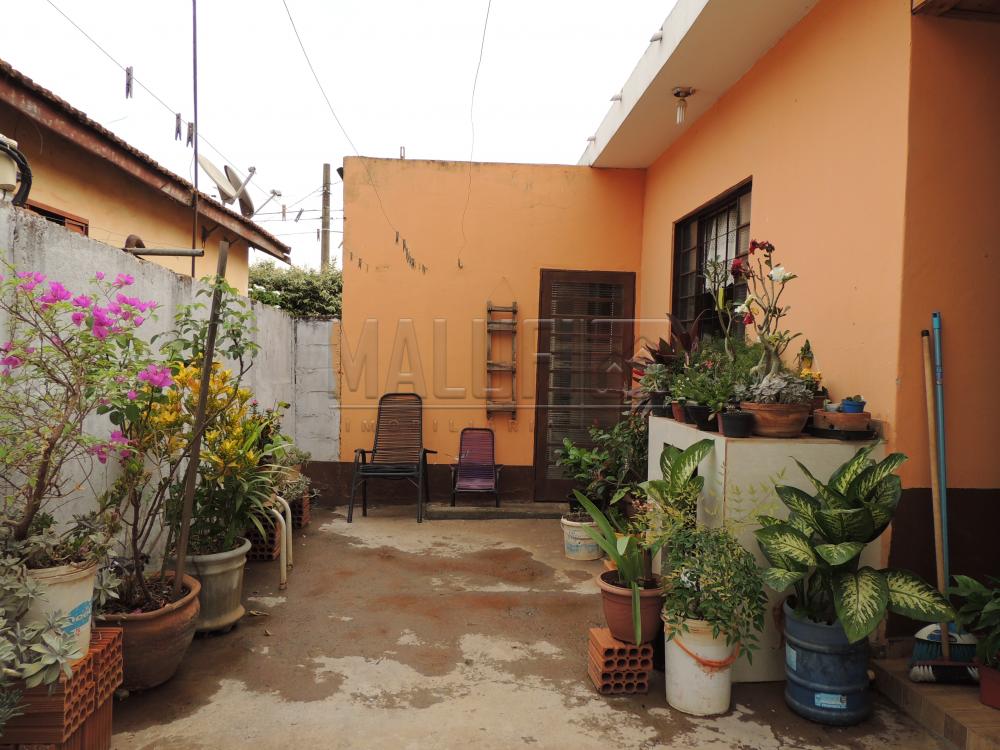 Comprar Casas / Padrão em Olímpia apenas R$ 290.000,00 - Foto 7 Comprar Casas / Padrão em Olímpia apenas R$ 290.000,00 - Foto 7