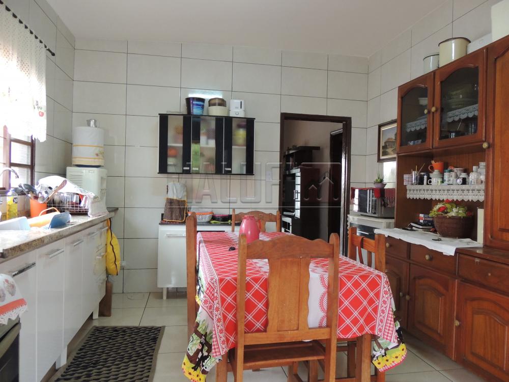 Comprar Casas / Padrão em Olímpia apenas R$ 290.000,00 - Foto 2 Comprar Casas / Padrão em Olímpia apenas R$ 290.000,00 - Foto 2