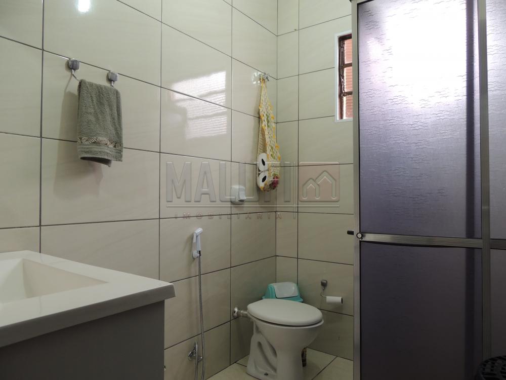 Comprar Casas / Padrão em Olímpia apenas R$ 290.000,00 - Foto 3 Comprar Casas / Padrão em Olímpia apenas R$ 290.000,00 - Foto 3