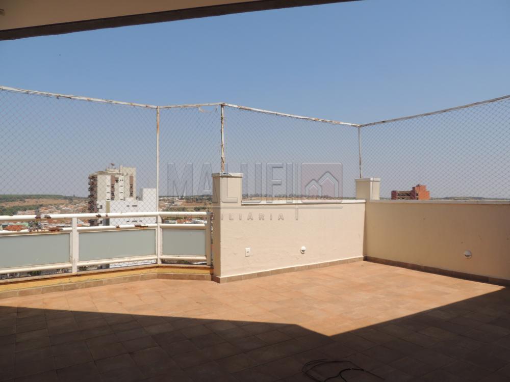 Alugar Apartamentos / Padrão em Olímpia apenas R$ 1.800,00 - Foto 1 Alugar Apartamentos / Padrão em Olímpia apenas R$ 1.800,00 - Foto 1